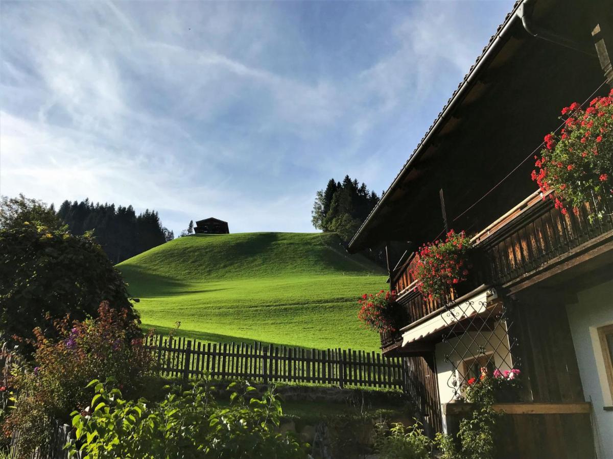 Apartment Chalet Edelweiss - Wil001 By Interhome Auffach Exterior photo